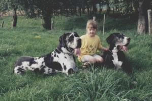 Baylana vom Diplomat und Orlando von der Ofnethöhle, Oktober 2003