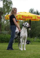 Dacuma vom Goldbergsee, Mai 2009