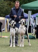 Finya vom Goldbergsee und Cantano (Casimir) vom Goldbergsee, September 2012