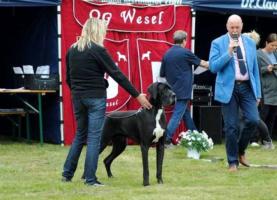 Jumanji vom Goldbergsee, Mai 2017