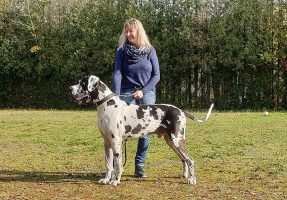 Keoma vom Goldbergsee, Oktober 2019
